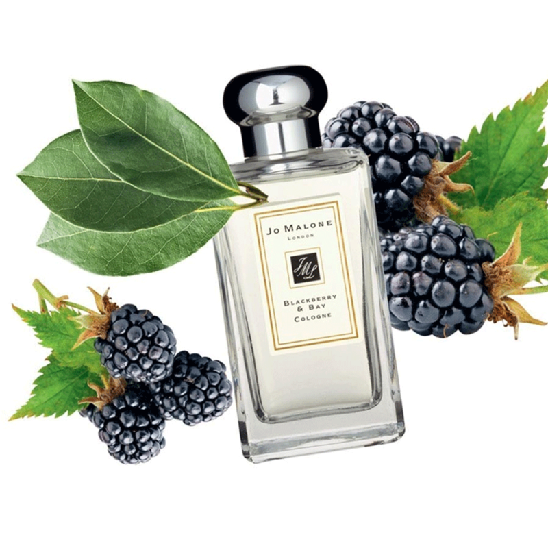 Купить НАПРАВЛЕНИЕ Blackberry & Bay Jo Malone London - цена за 1 мл